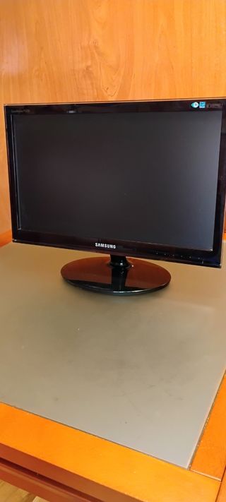 Monitor Samsung 22 Negro