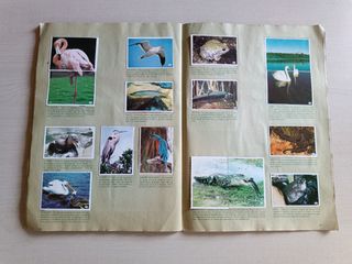 Album Cromos Al Lado de los Animales Completo