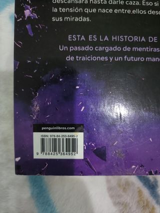 Ladrona de guante negro (Spanish Edition)