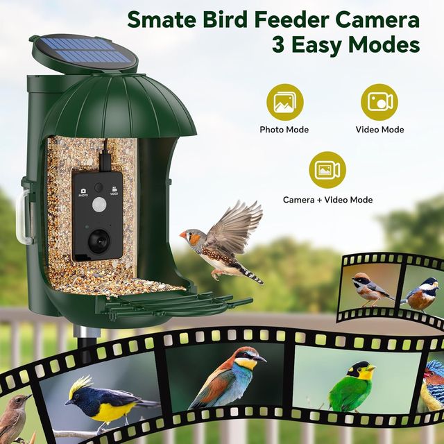☆ Mangiatoia per uccelli con fotocamera e solare