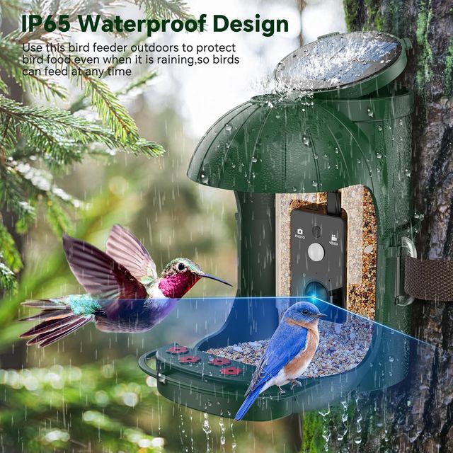 ☆ Mangiatoia per uccelli con fotocamera e solare