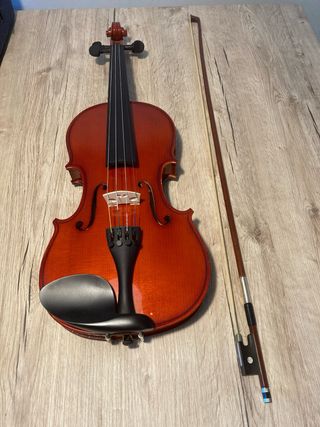 Violín 4/4 para principiantes con estuche