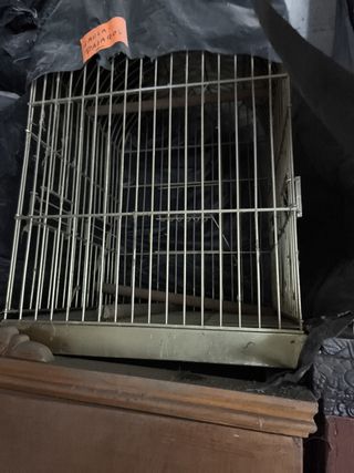 Jaula para pájaros dorada