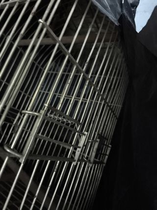 Jaula para pájaros dorada