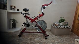 Bicicleta Spinning BH Roja