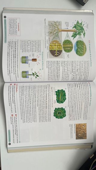 Biología, Geologíaa y Ciencias Ambientales, Oxford