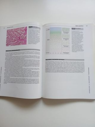 Wheater's. Histología Funcional