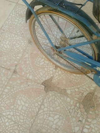 Bicicleta BH antigua