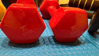 Conjunto de entrenamiento: pesas, rodillo y más...