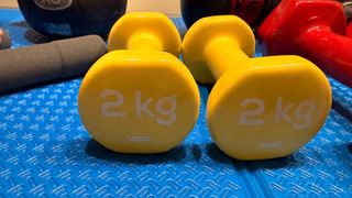 Conjunto de entrenamiento: pesas, rodillo y más...