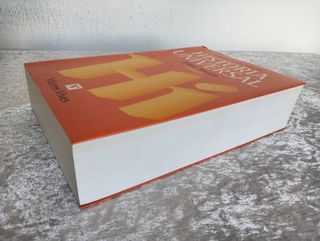 HISTORIA UNIVERSAL, EDAD MEDIA , LADERO