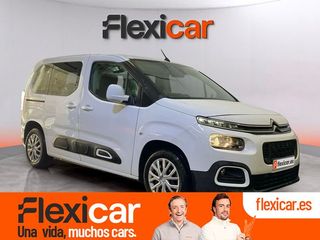 Citroën Berlingo Talla M BlueHDi 100 SHINE