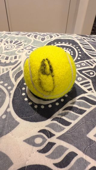 Pelota de tenis firmada por Musetti