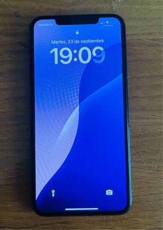 iPhone 11 Pro Max 256GB Gris Espacial