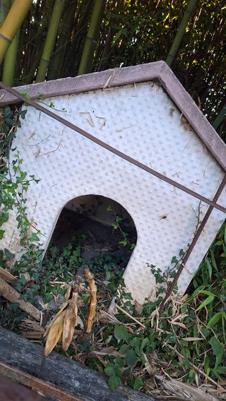 Caseta de  perro de obra 
