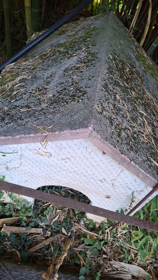 Caseta de  perro de obra 
