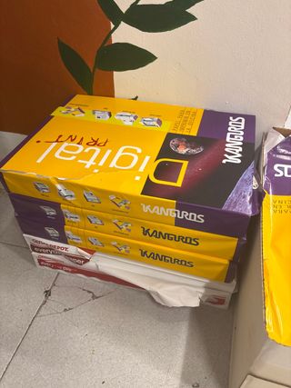 Papel A3 Kanguros