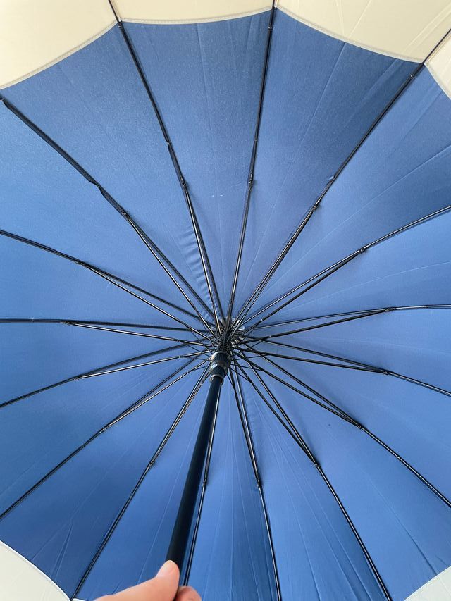 Paraguas Automático Antiviento Azul y Blanco