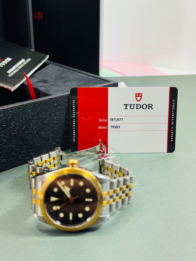 Tudor Black Bay 79503