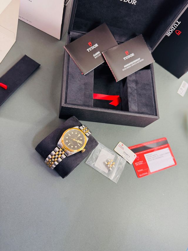 Tudor Black Bay 79503