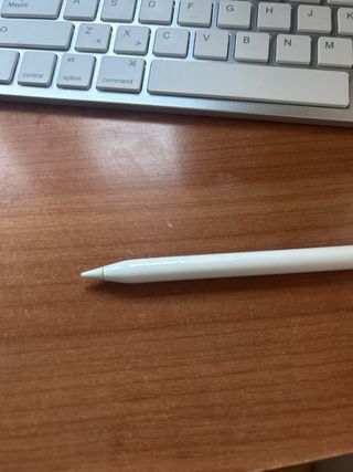 Apple Pencil (USB-C) para iPad