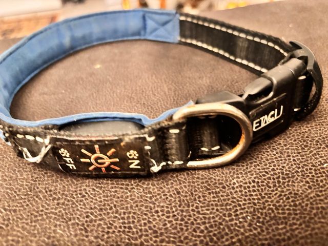 Collar LED para Perro