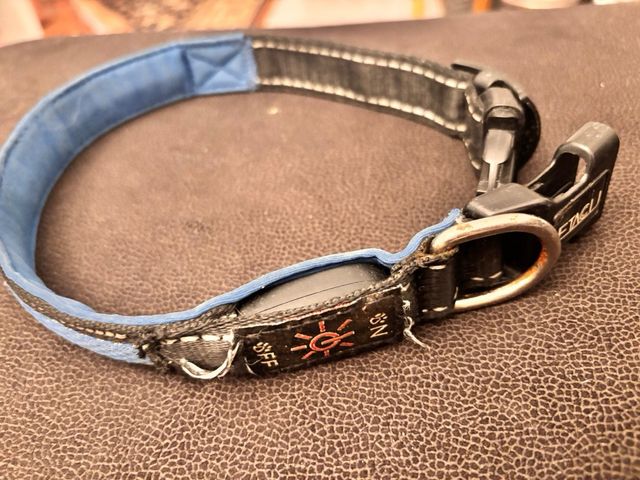 Collar LED para Perro