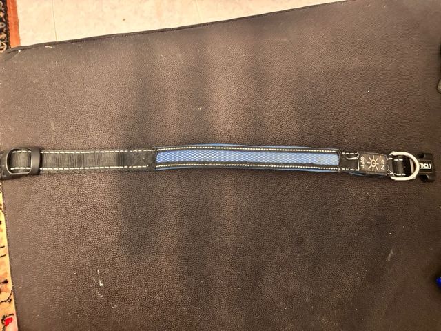 Collar LED para Perro