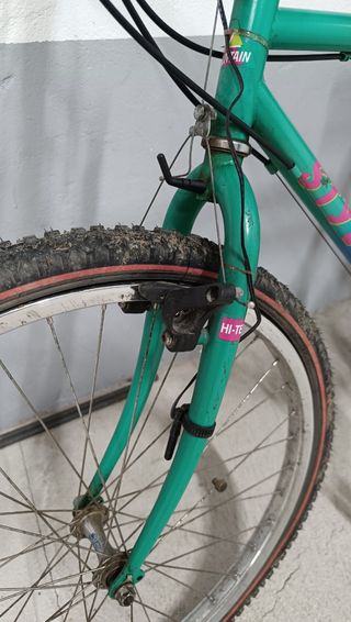 Bicicleta de Montaña