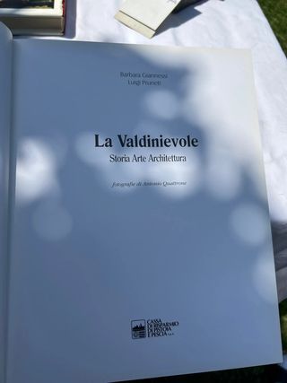 Valdinievole: Storia, arte, architettura (Italian 