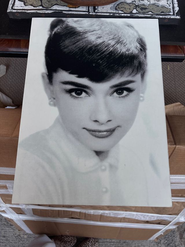 Cuadro Audrey Hepburn Blanco y Negro