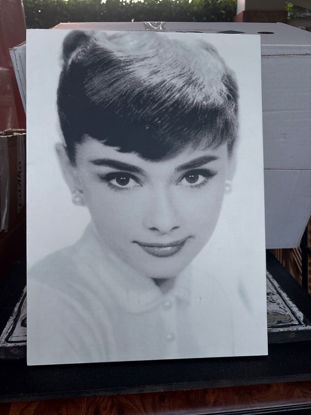 Cuadro Audrey Hepburn Blanco y Negro