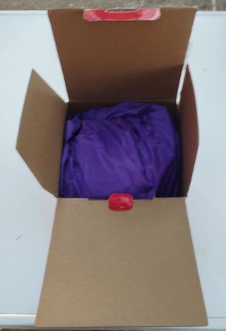 Disfraz Berenjena Inflable Adulto Talla Única