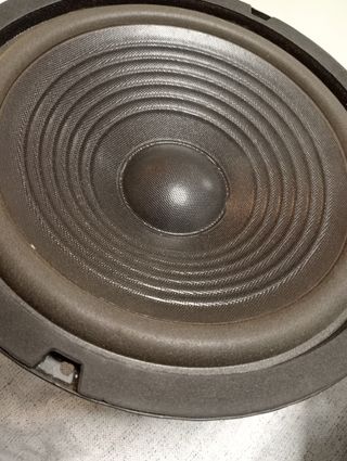 Altavoces Medios Graves 10"