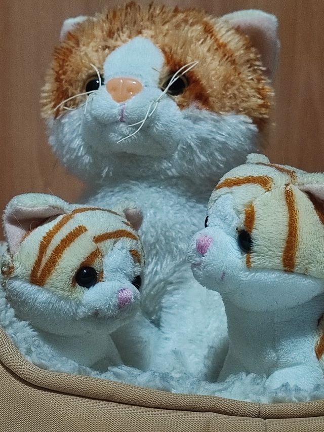 Peluche gatos
