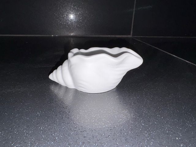 Conchiglia decorativa bianca