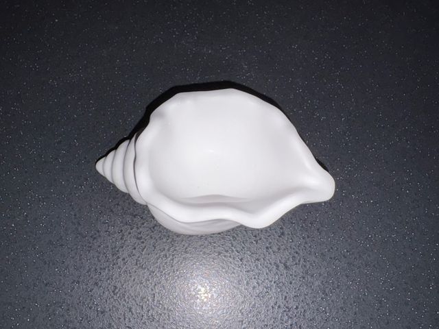 Conchiglia decorativa bianca