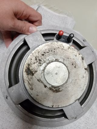 Altavoz Graves 8" Beyma