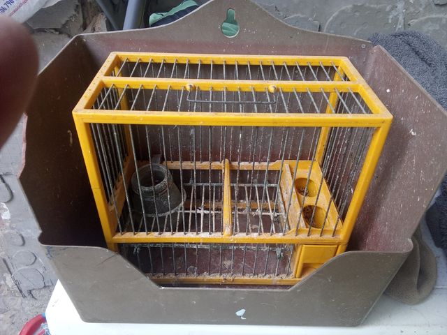 Jaula para pájaros marrón y amarilla