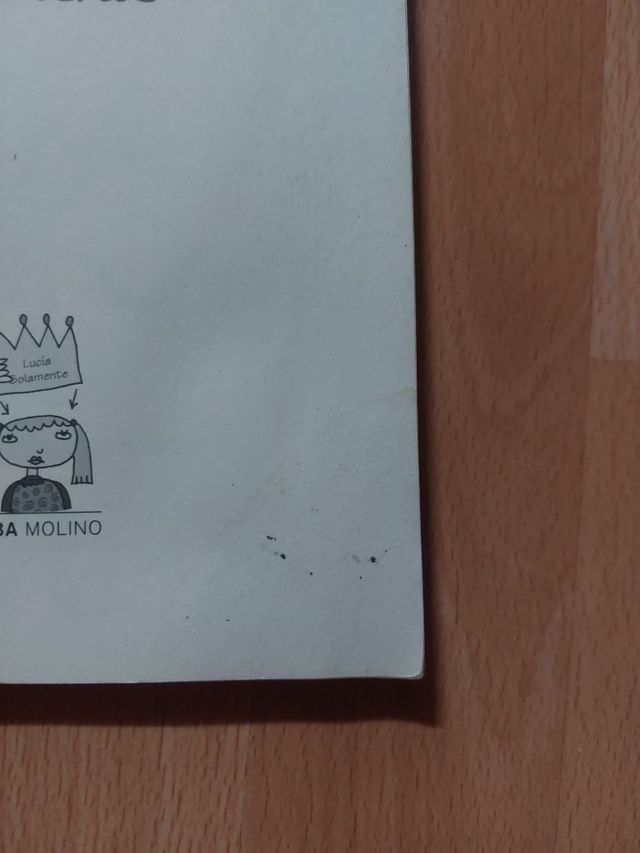 Libro "Lucía solamente 1"