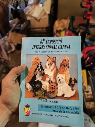 62 Exposicio canina barcelona 1993