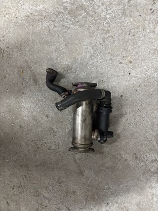 Válvula EGR BMW E46 320d