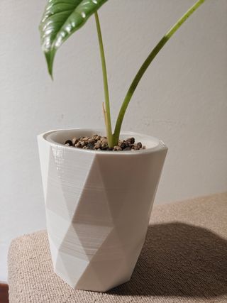 Vaso/Sottovaso Idroponica fatti con Stampante  3D.