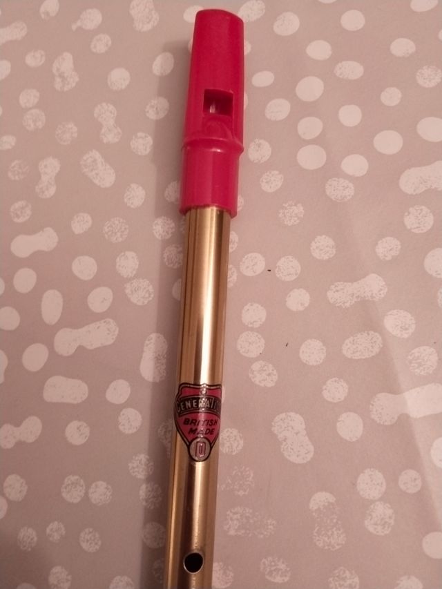 Flauta Irlandesa en Re