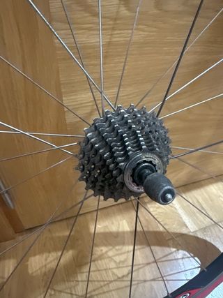 Rueda trasera Easton Vista SL con cubierta rodillo