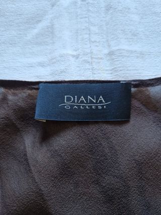 Top in Seta Beige e Marrone