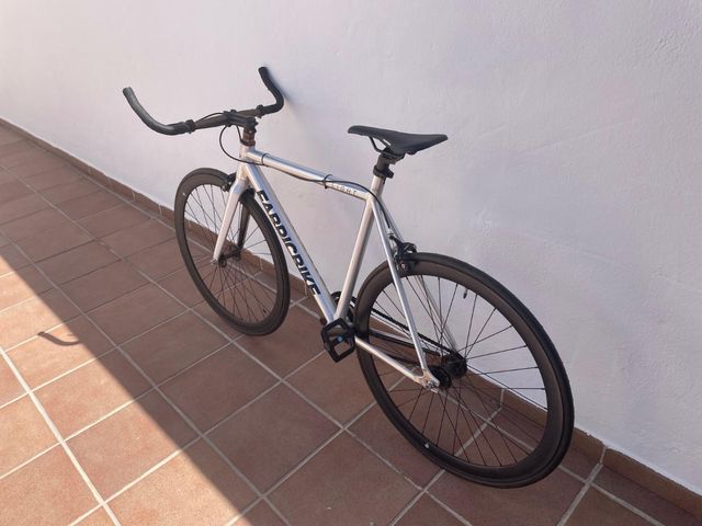 Bicicleta CARDI BIKE plateada