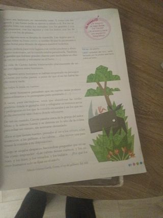 Lengua 4. (Con Lecturas: Los misterios de Lupas...