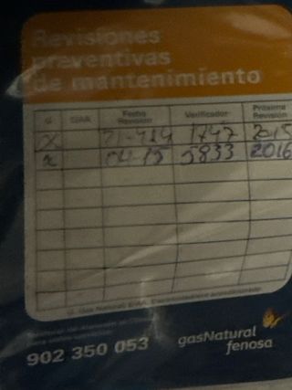 Calentador Saunier Duval Gas Natural Blanco