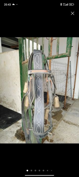 Arreos de caballo para carro